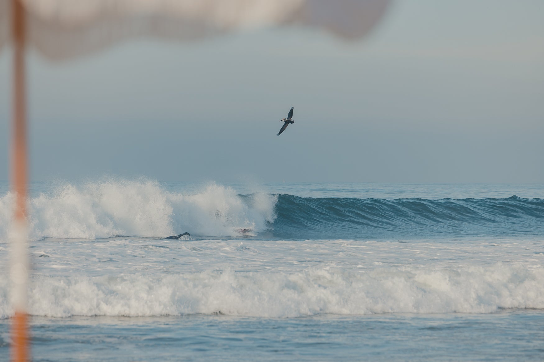 Early & Often Surf Club | Jan '24