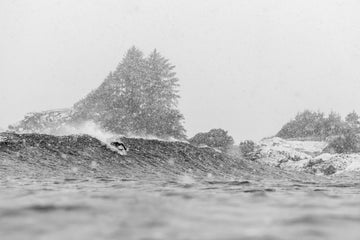 Cold Water Q&A with Marcus Paladino