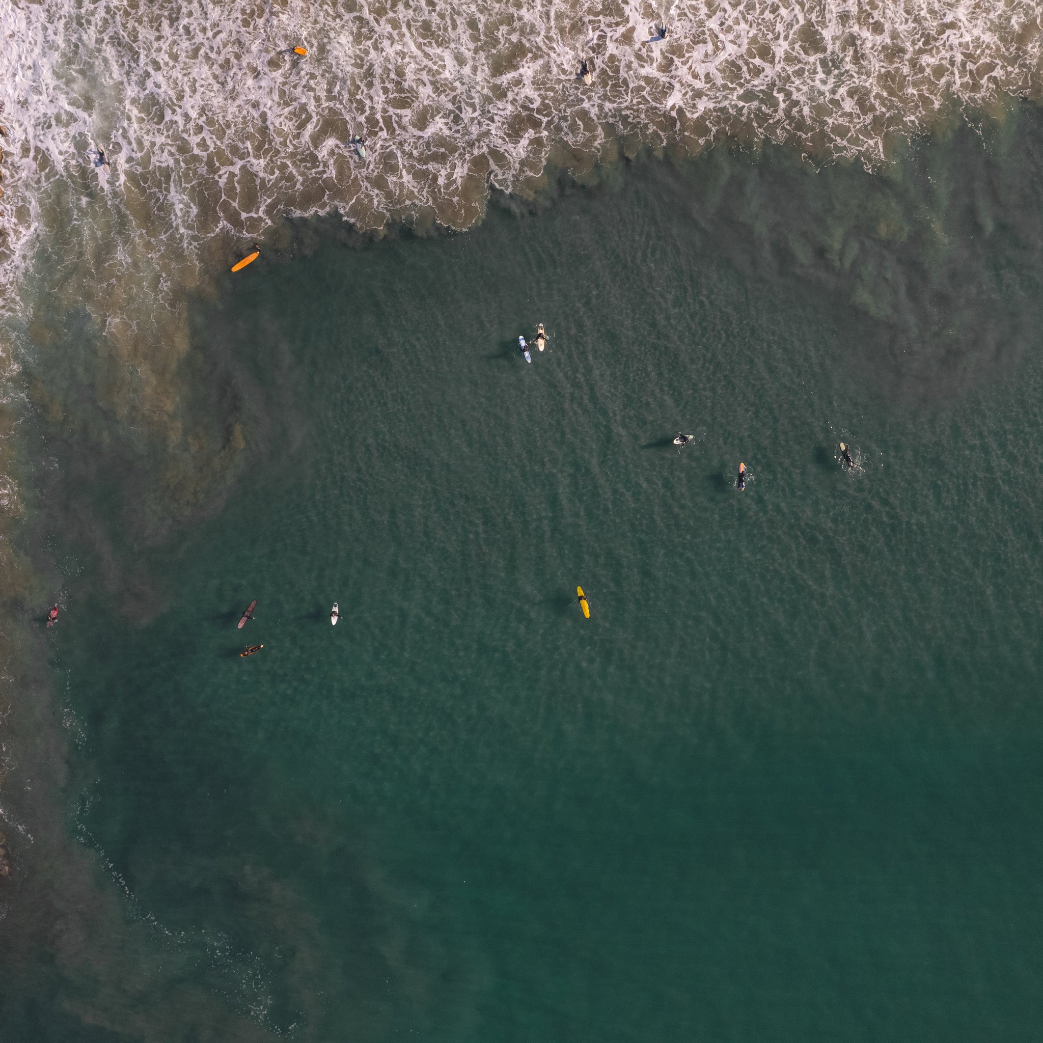 Early & Often: November Recap