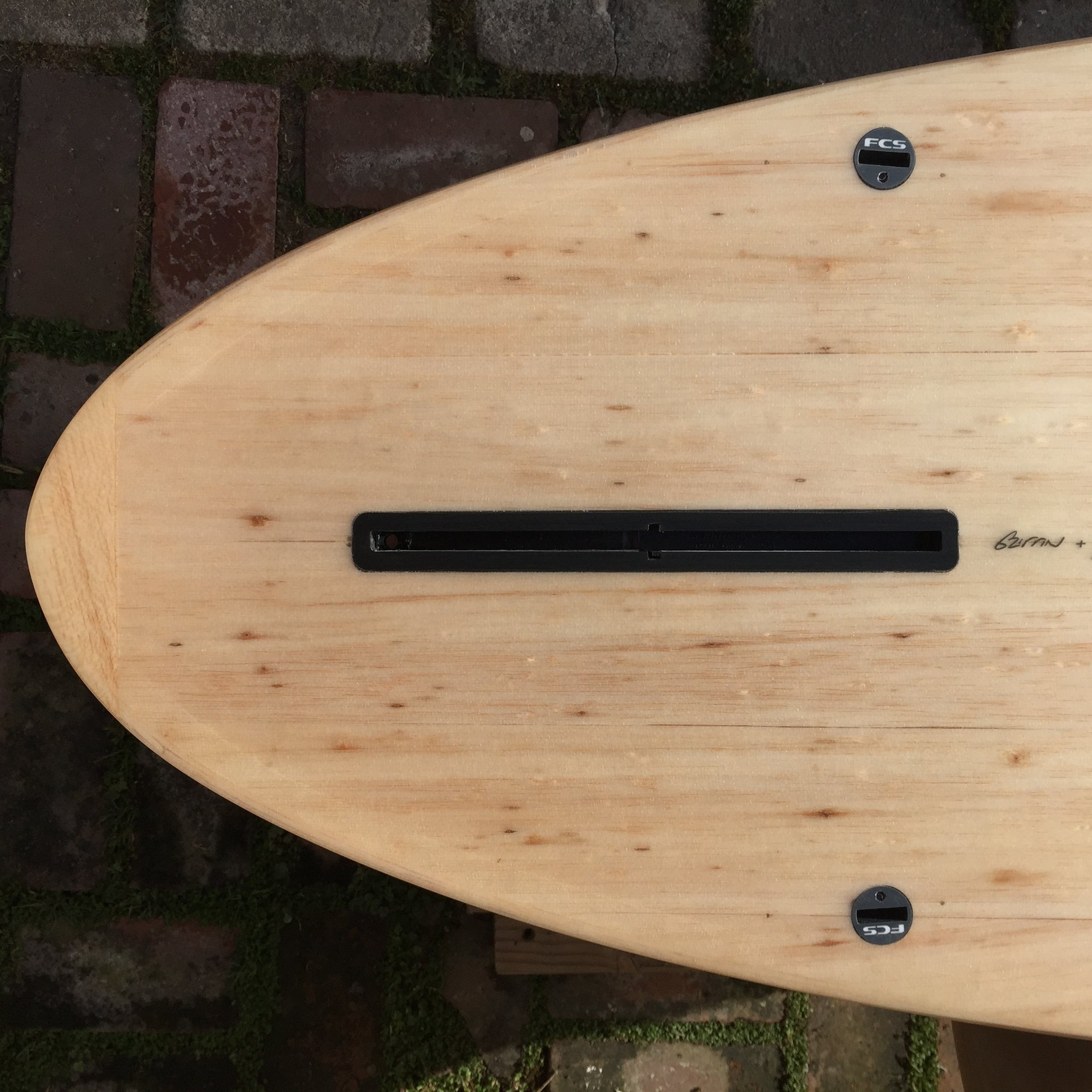 Almond x Nine Lights: Balsa Pleasant Pheasant