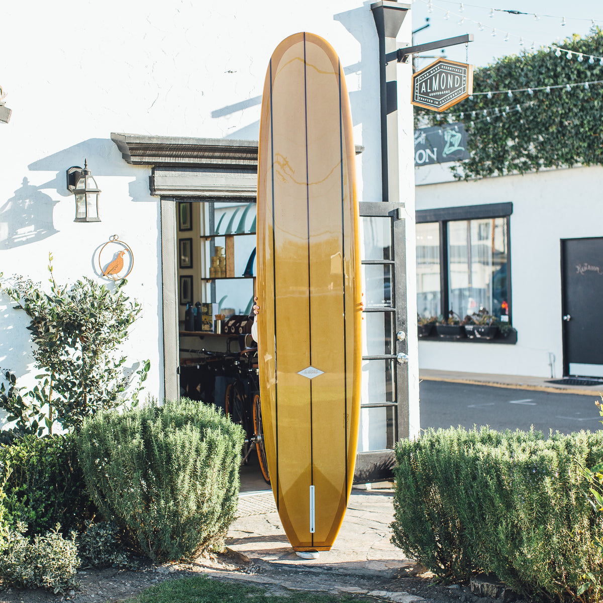 Early and Often | Almond Surfboards & Designs