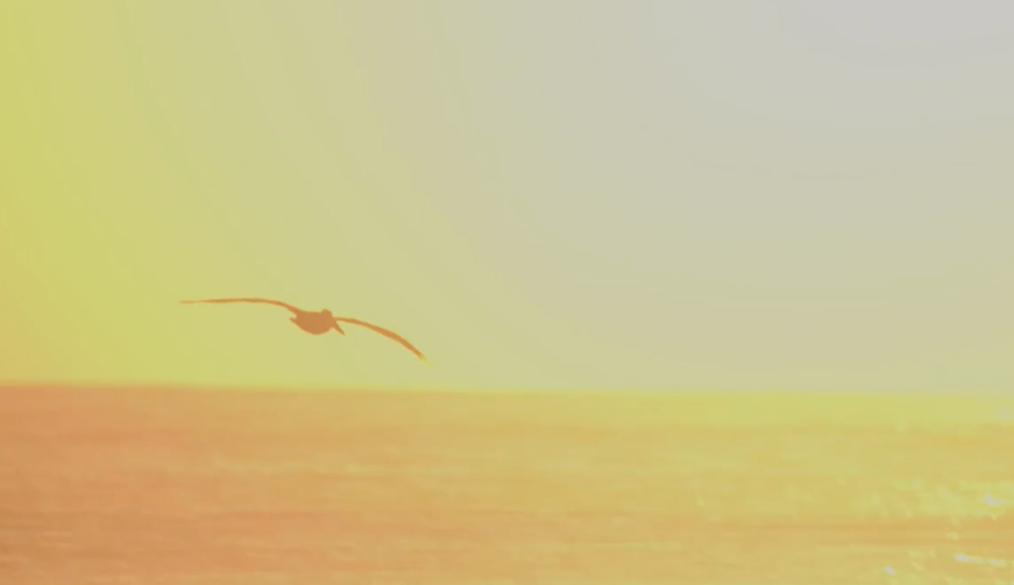 Ronan Gibbs: 9'8 Lumberjack