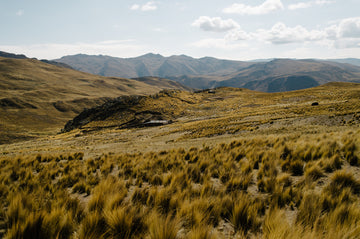 Know Who Made It | KKI