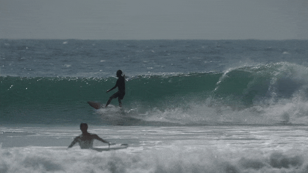 Get to Know: The Special Recipe Fish