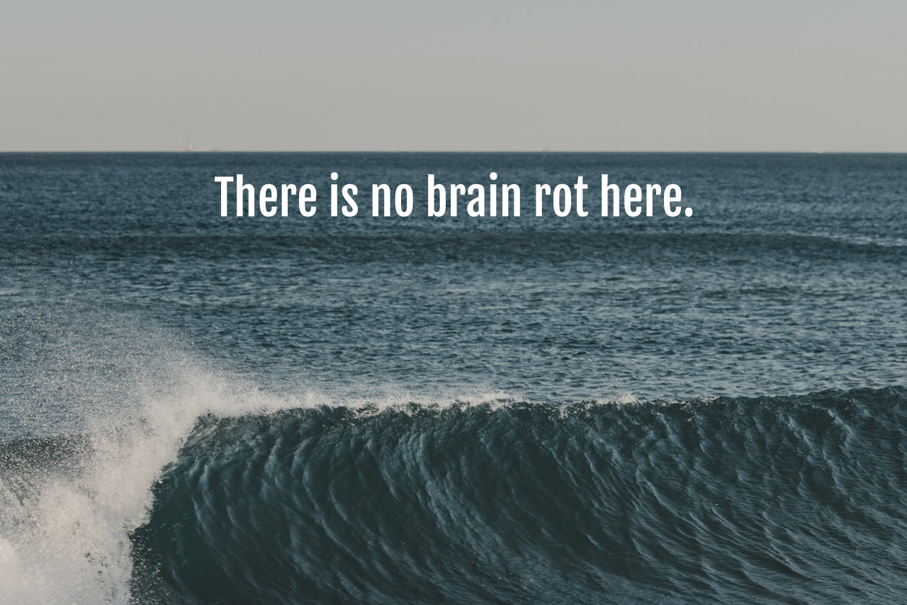 The Antidote to Brain Rot – Almond Surfboards & Designs