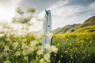 Dylan Gordon | Logistic Surfboard