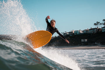 Drew's Special Recipe Fish