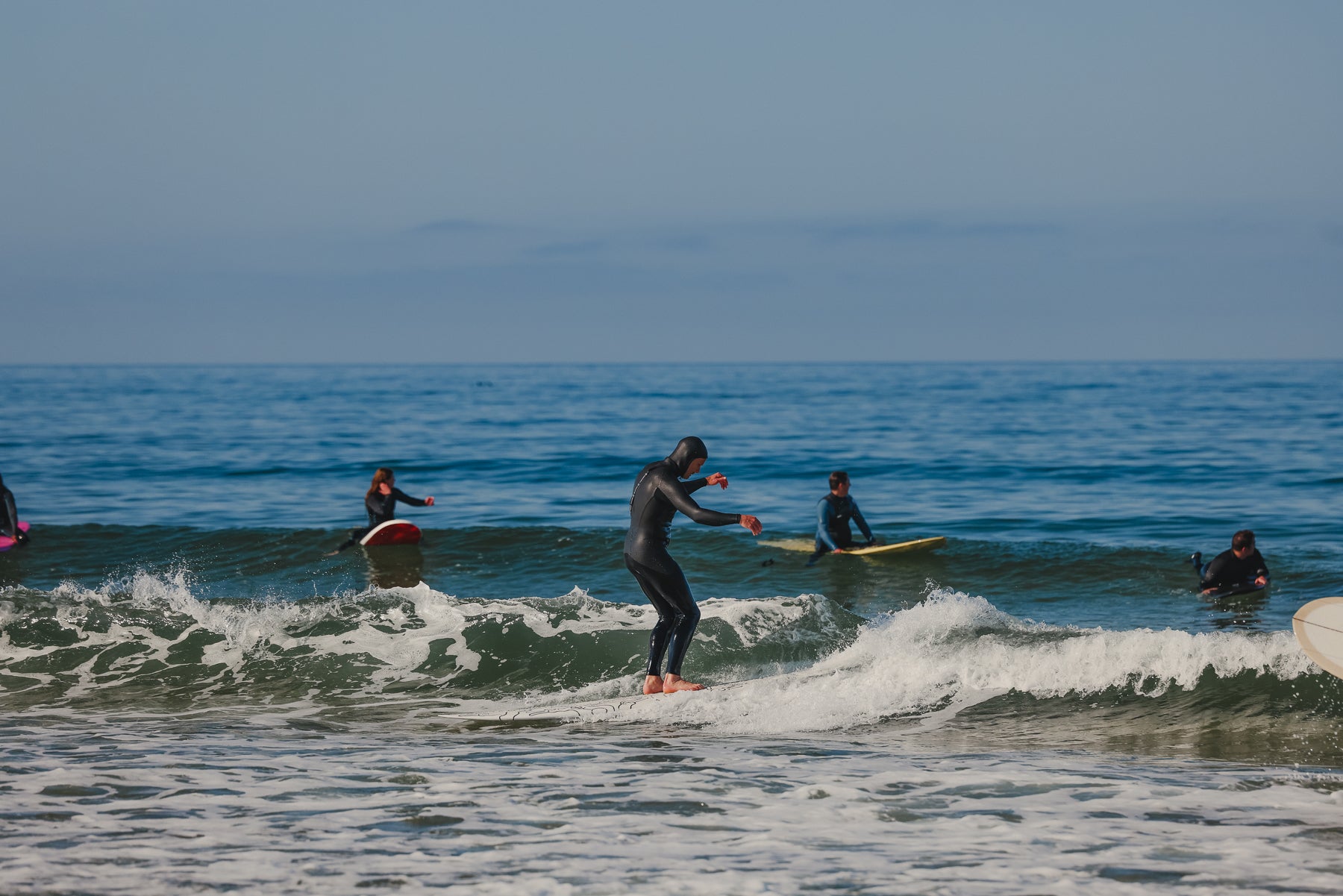 Almond x KBut | Mega Beach Chicken – Almond Surfboards & Designs