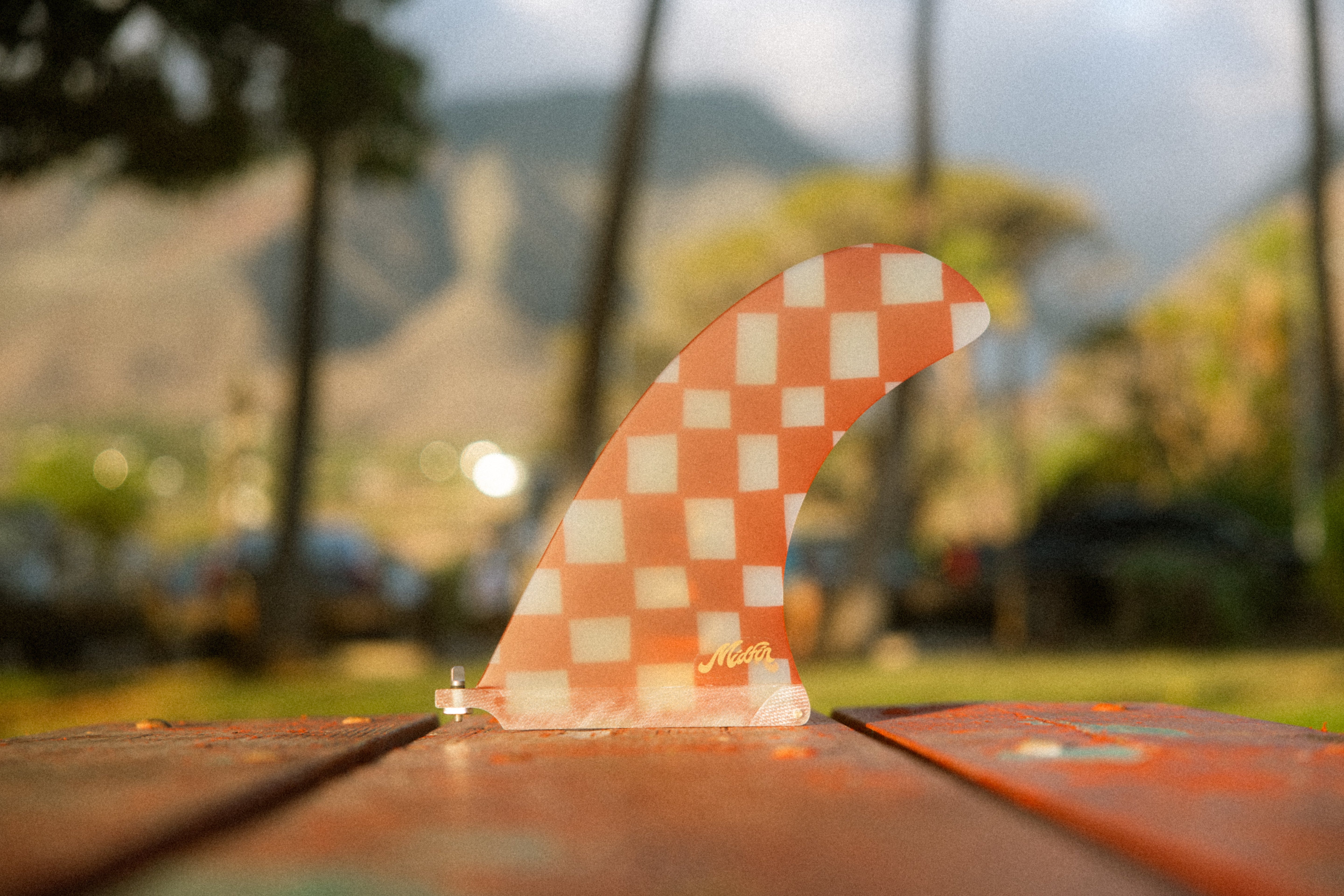 Sunday Picnic - Tracer