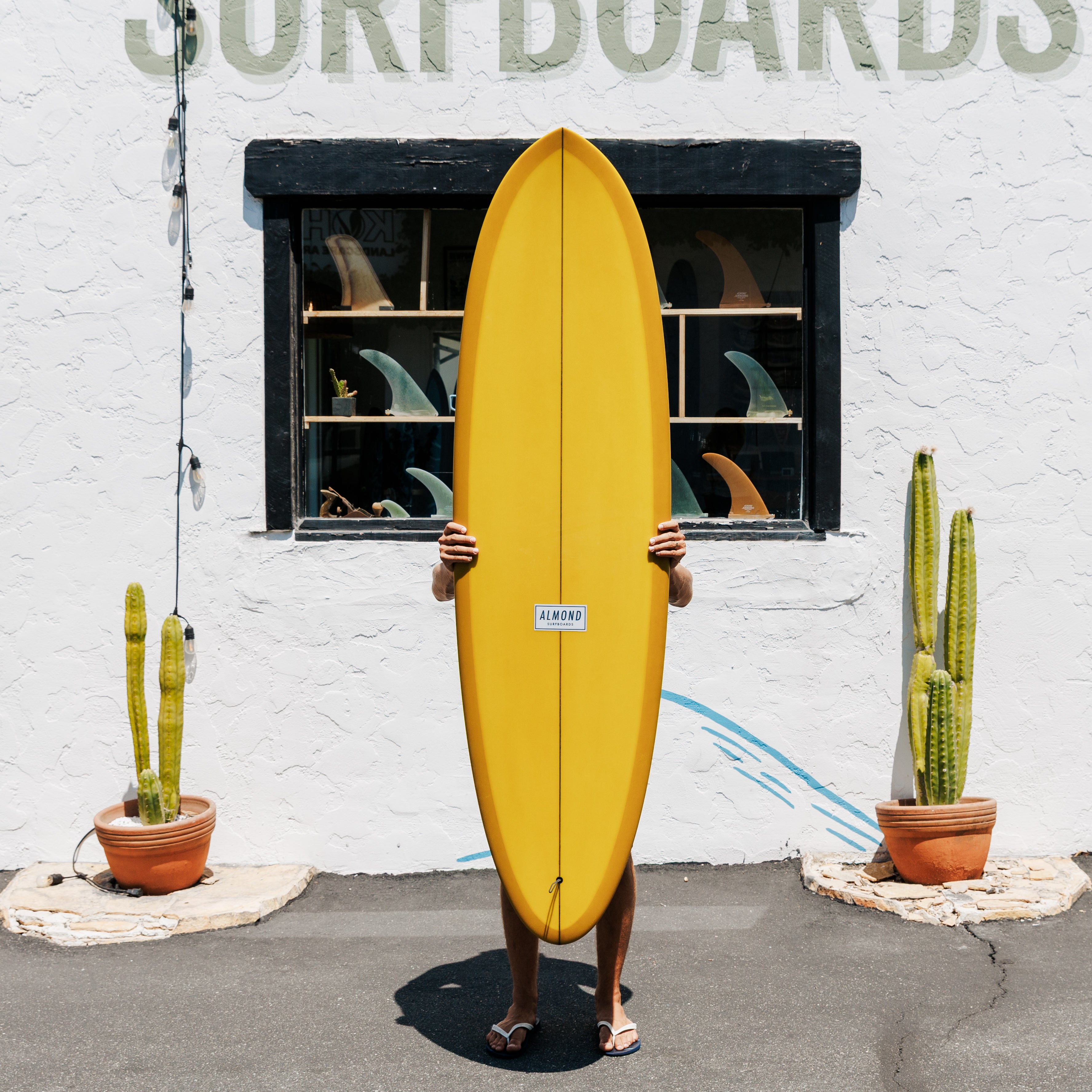 Newboards8.15.25-5_36bb0ed6-