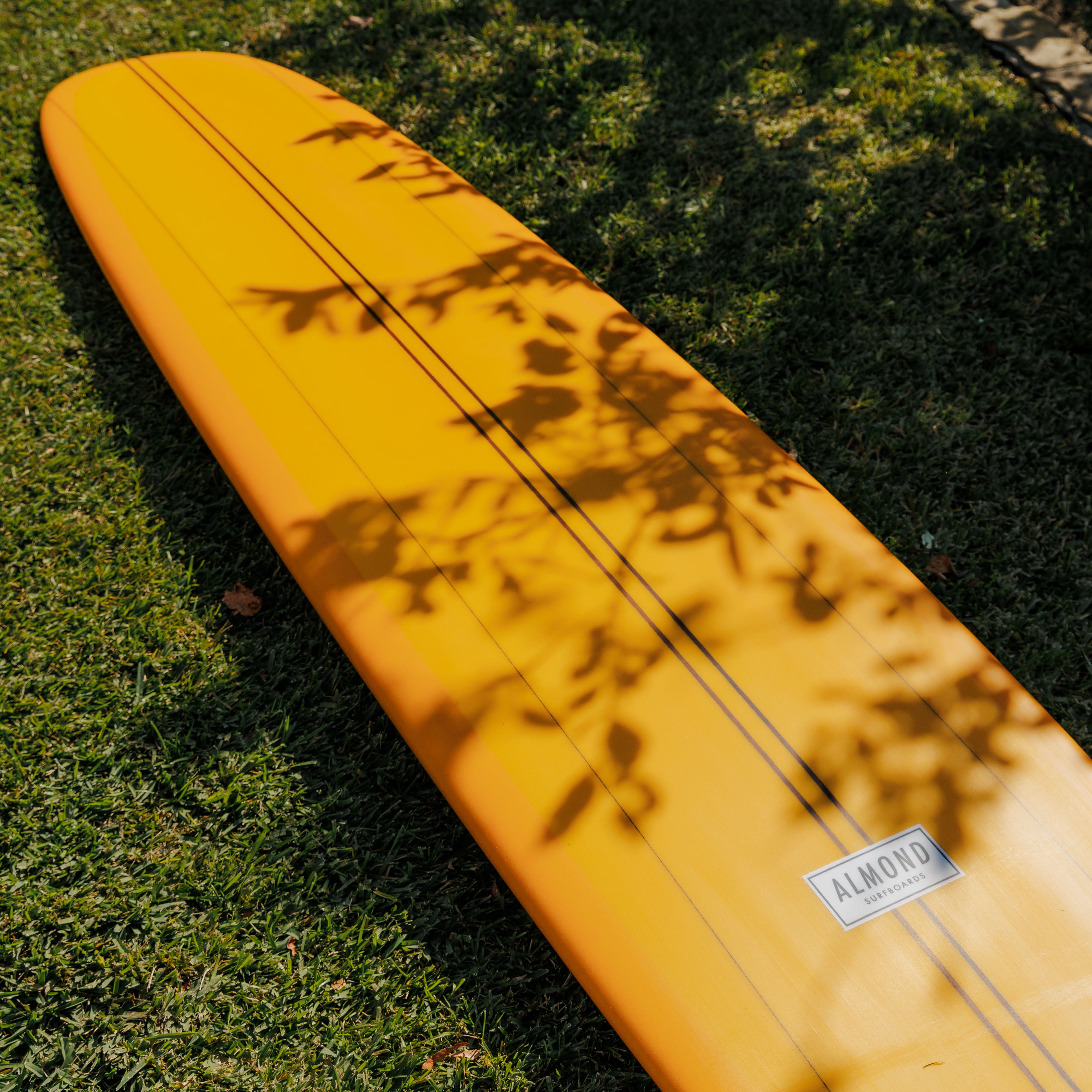 9'2 Surf Thump #9539 | Almond Surfboards & Designs