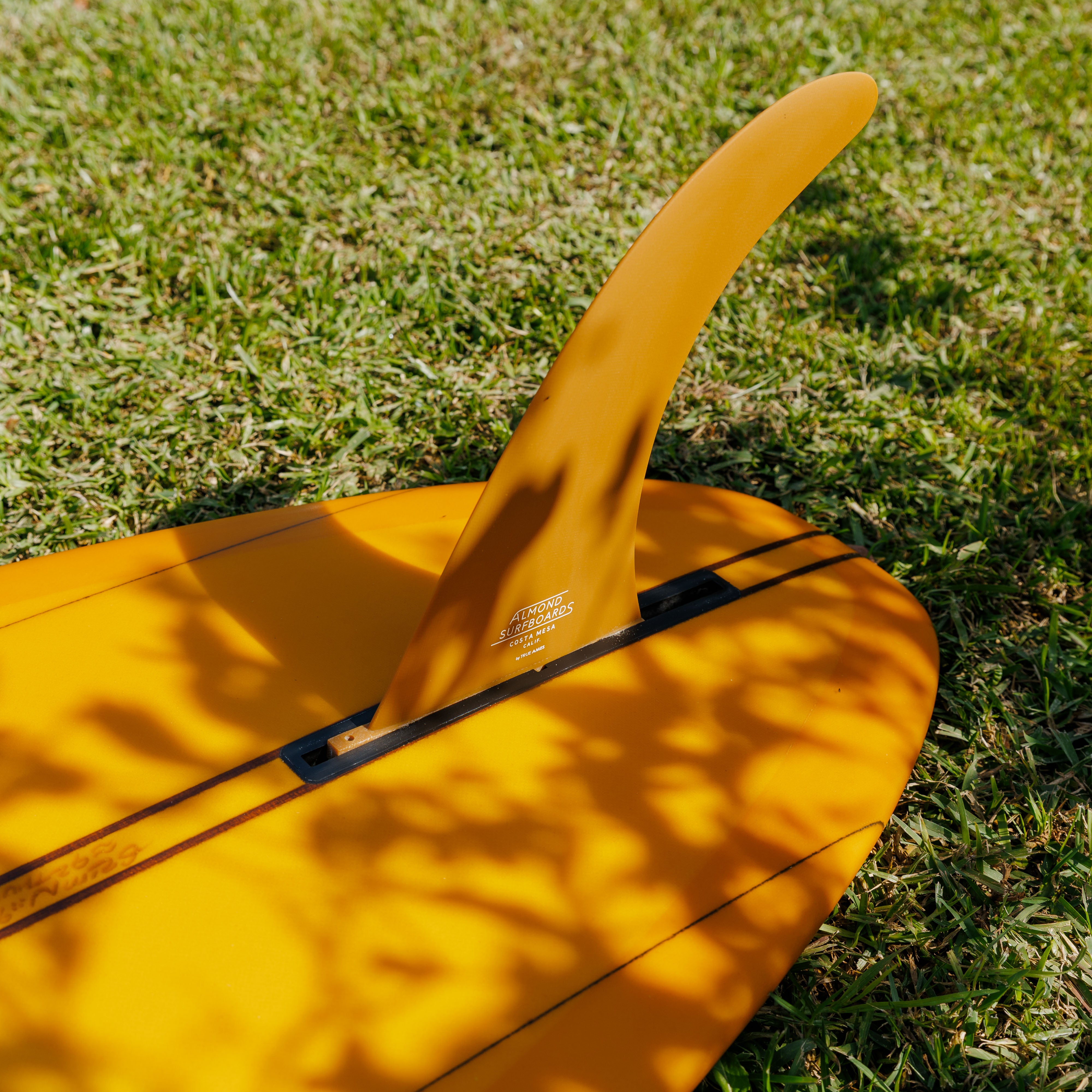 9'2 Surf Thump #9539