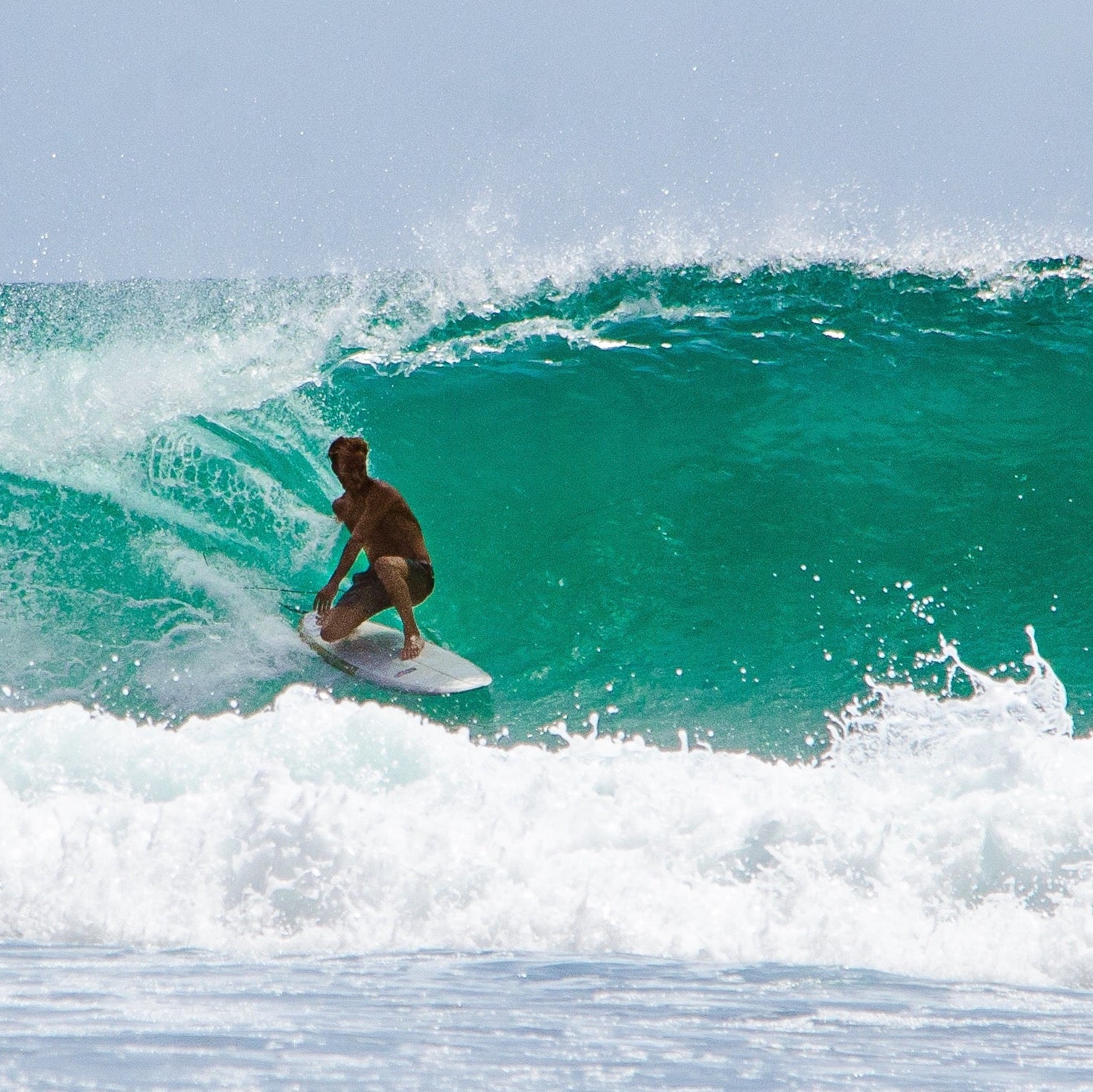 The Survey – Almond Surfboards & Designs