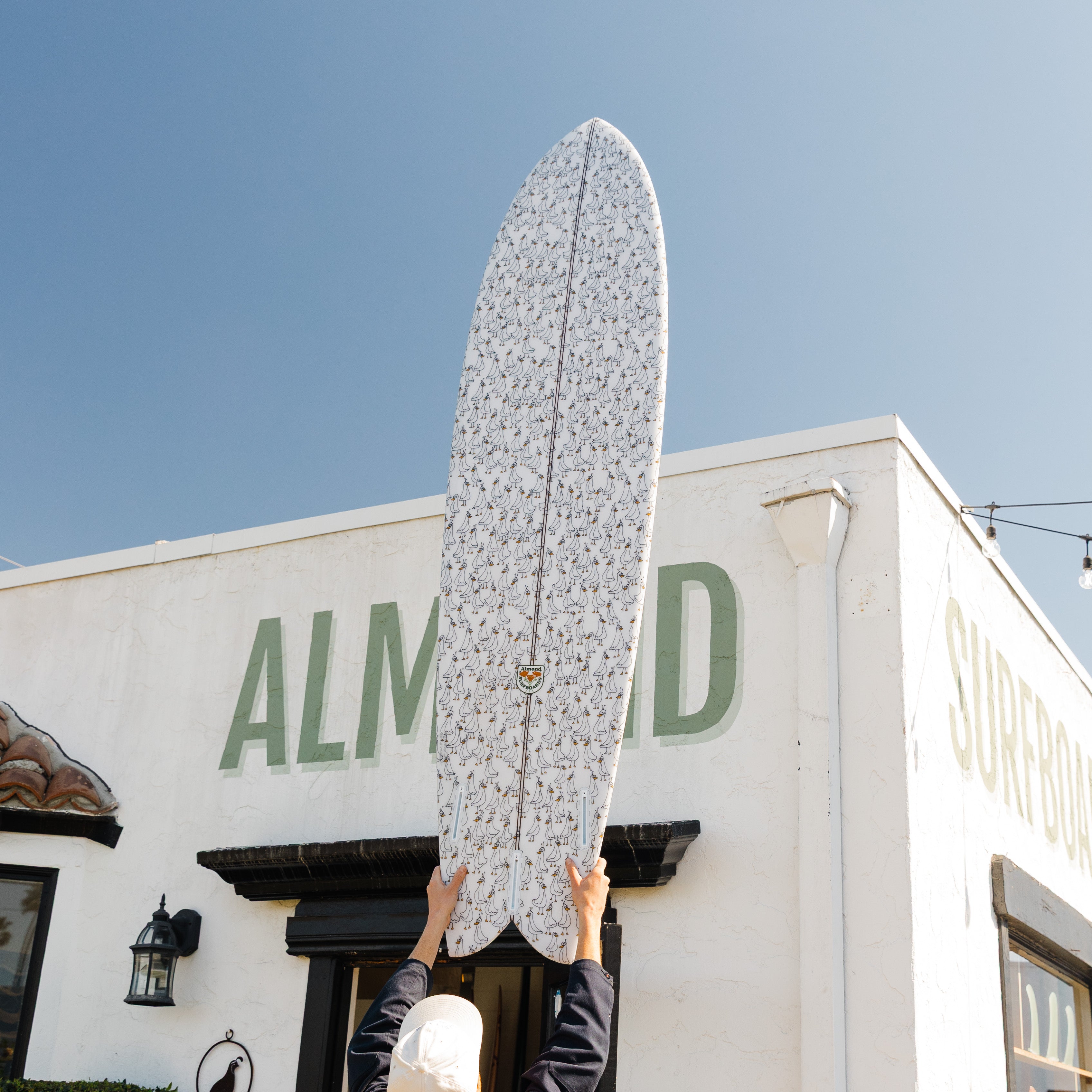 Free Downloadable Surfboard Templates Almond Surfboards & Designs