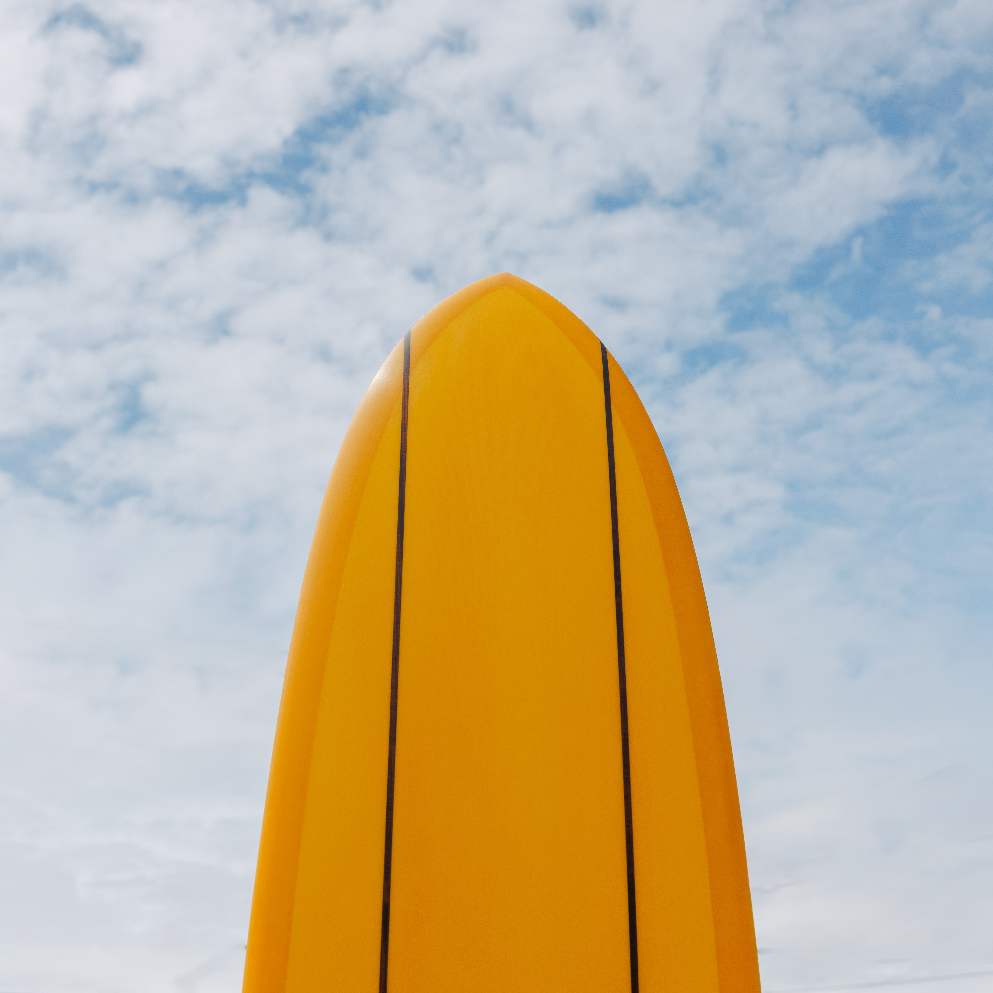 10' Cash-Yew II #9493 – Almond Surfboards & Designs