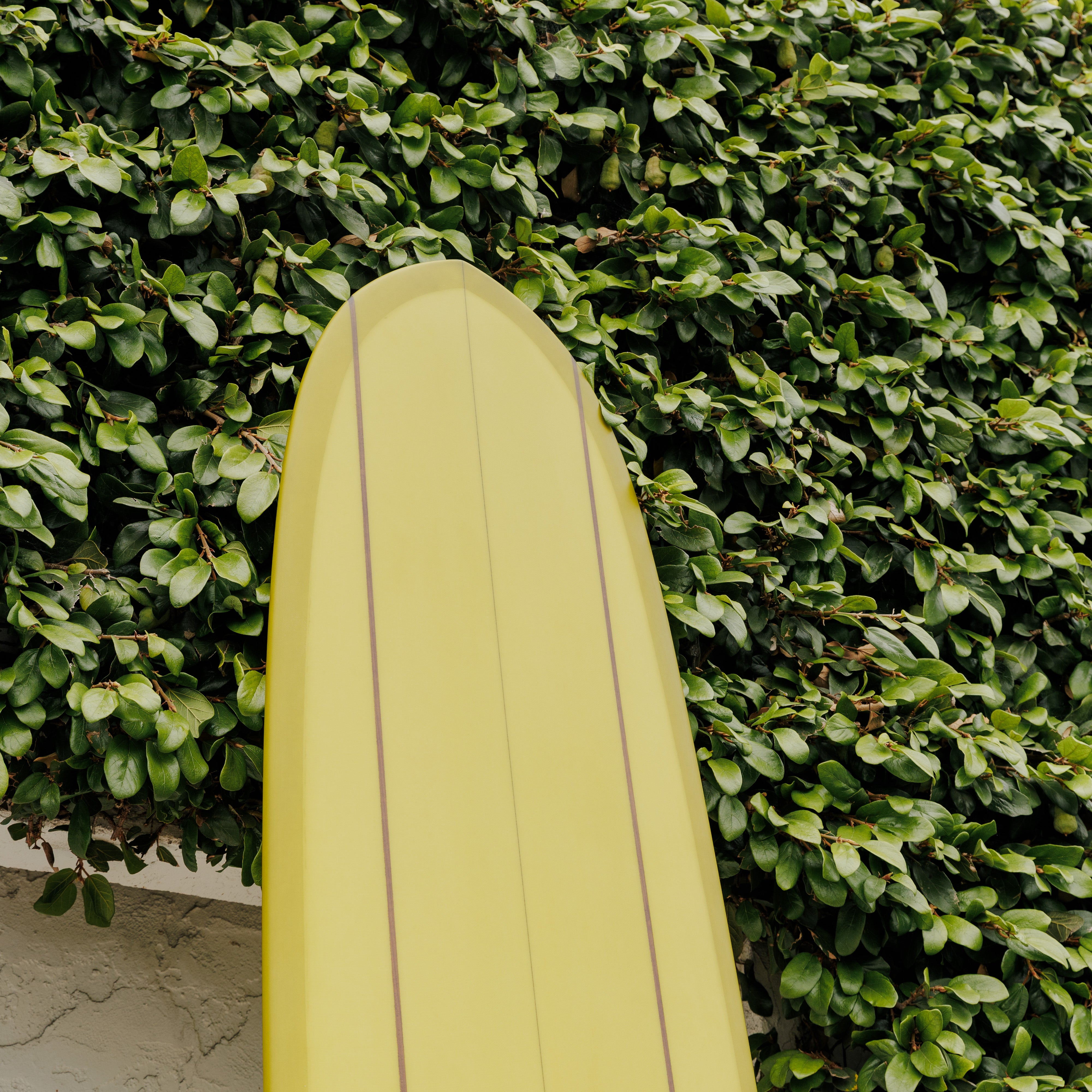 9'6 Sano Special #9371