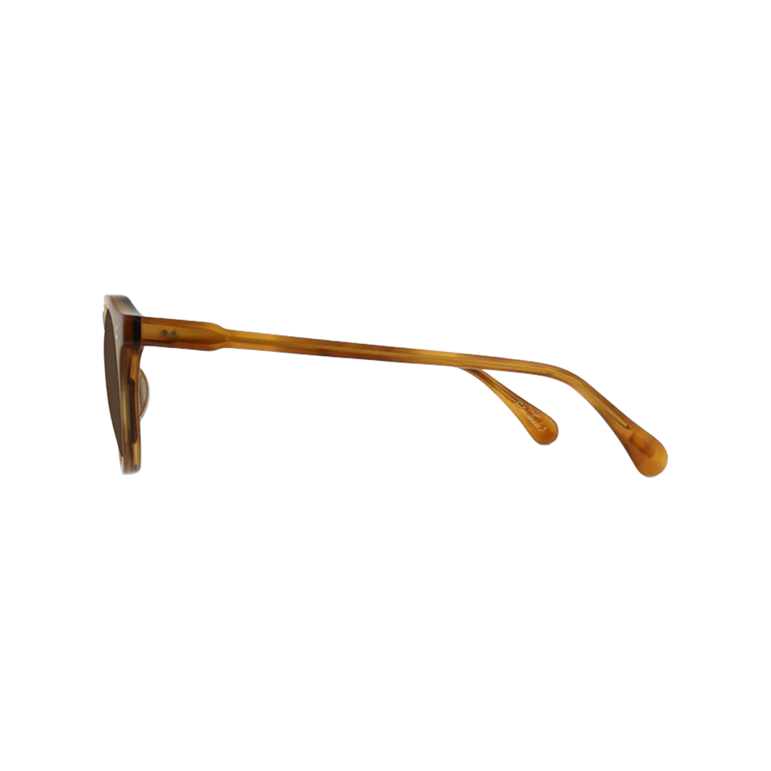 Remmy Sunglasses | Raen