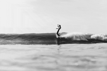 What Longboard Should I Get Quiz: Find Your Perfect Ride Today!