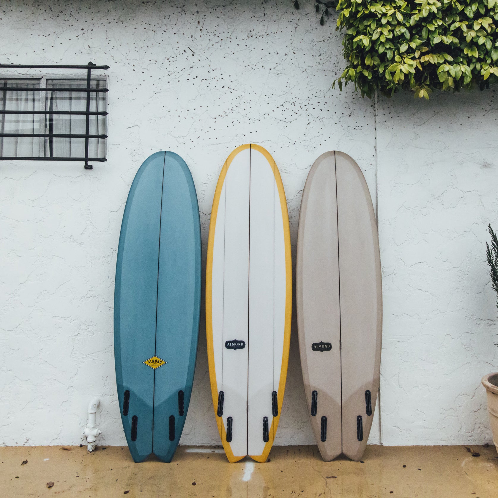 Large store fish surfboard