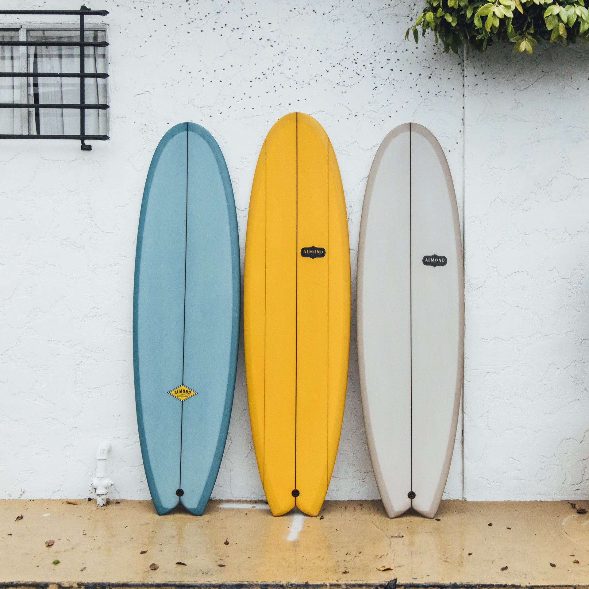 Large fish online surfboard