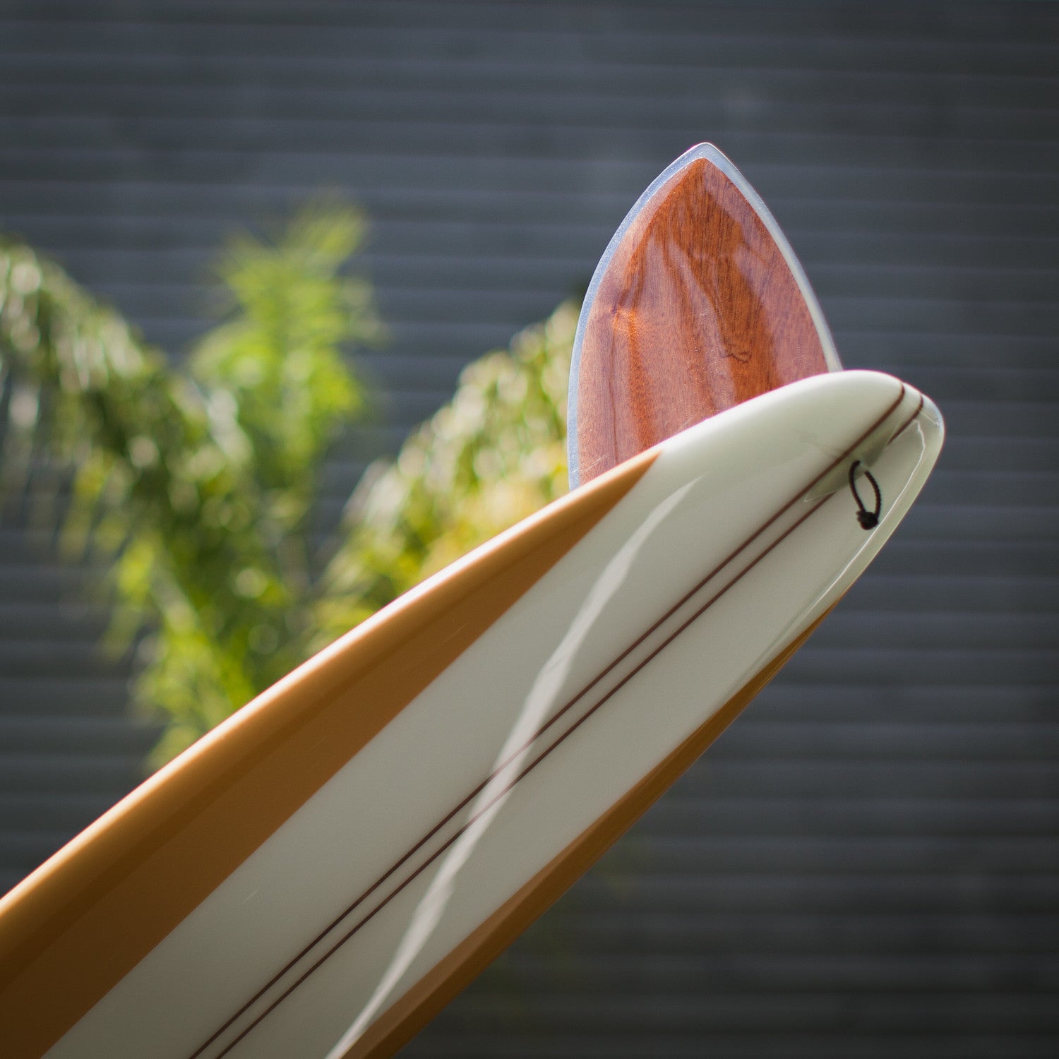 The Surf Thump | Almond Surfboards & Designs