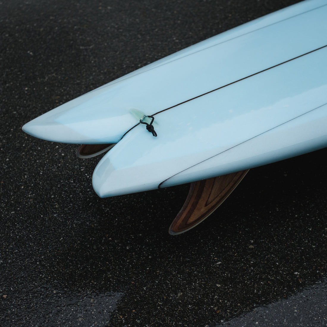 Almond's Guide to Fishes & Small Boards